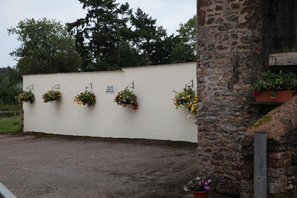 Weir Mill Farm Cullompton Exterior foto