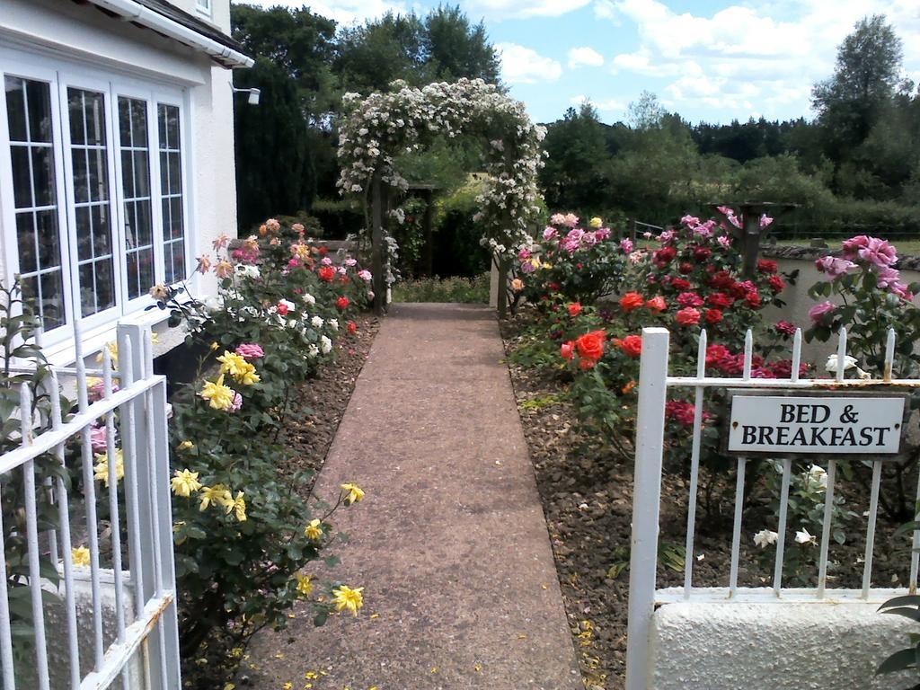 Weir Mill Farm Cullompton Exterior foto